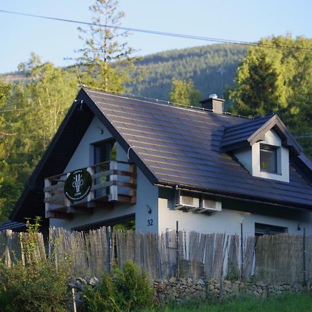 Ski House Szczyrk - Czyrna Extérieur photo